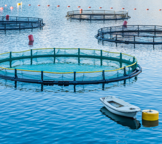 An image from the front cover of Aquaculture Health Management: Design and Operation Approaches An image from the front cover of Aquaculture Health Management: Design and Operation Approaches
