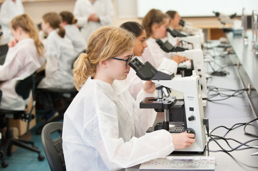 Students in the 2019 AVC Vet Camp learn how to use a microscope. Students in the 2019 AVC Vet Camp learn how to use a microscope.