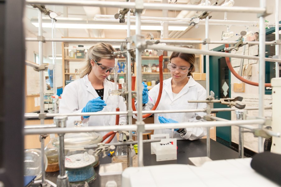 UPEI students work in a lab. UPEI students work in a lab.